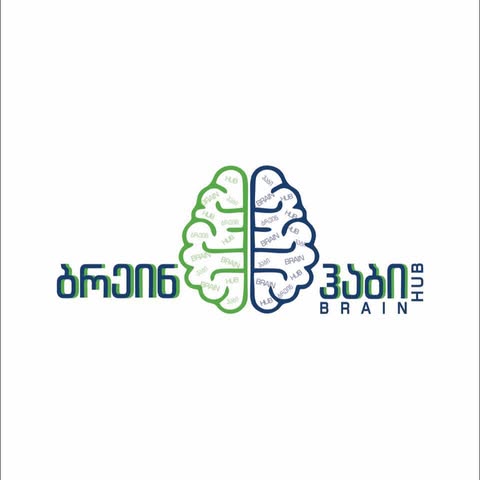 ჩვენი პარტნიორები და მხარდამჭერები brain hub
