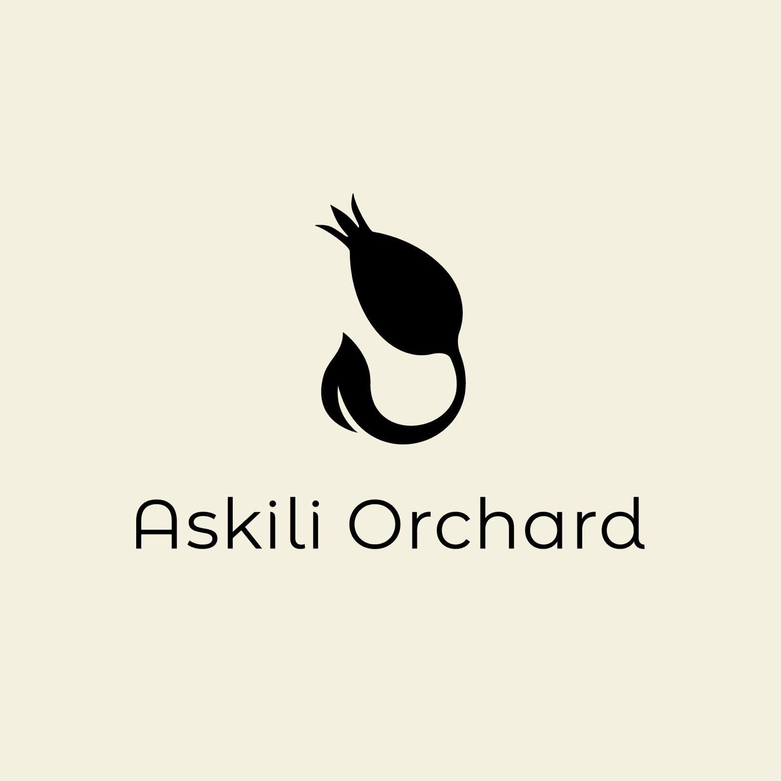 ვინ ვართ ჩვენ askili